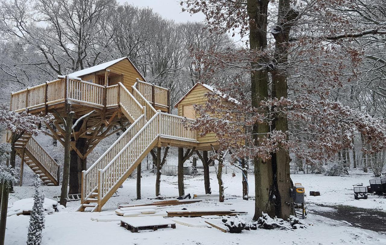Oakside Tree Tops แคนเทอร์เบอรี ภายนอก รูปภาพ